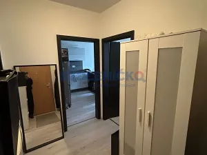 Pronájem bytu 2+kk, České Budějovice, U Lučního jezu, 50 m2