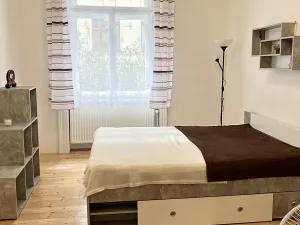 Pronájem bytu 2+kk, Praha - Nové Město, Pštrossova, 53 m2