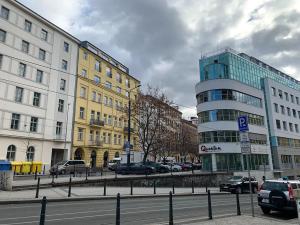 Pronájem bytu 1+kk, Praha - Vinohrady, Šafaříkova, 39 m2