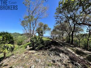 Prodej pozemku, Jonesville, José Santos Guardiola, Honduras, 1594 m2