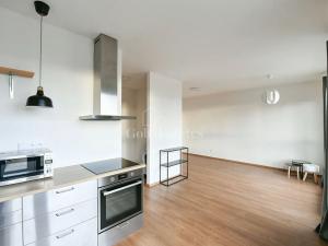 Pronájem bytu 1+kk, Beroun, Na Veselou, 41 m2