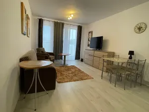 Prodej bytu 2+kk, Teplice, Albrechtova, 82 m2