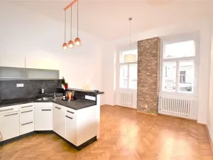 Pronájem bytu 3+kk, Praha - Nové Město, Wenzigova, 77 m2