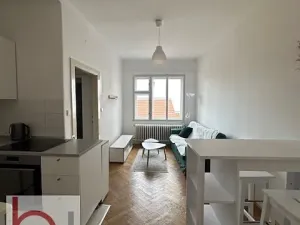 Pronájem bytu 1+1, České Budějovice, Lidická tř., 48 m2