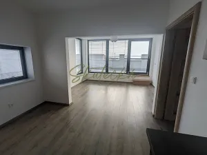 Pronájem bytu 2+kk, Hodonín, 55 m2