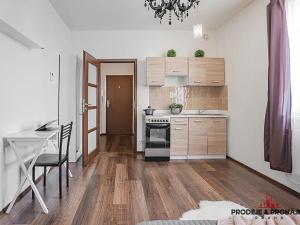 Prodej bytu 1+kk, Praha - Vysočany, Freyova, 22 m2