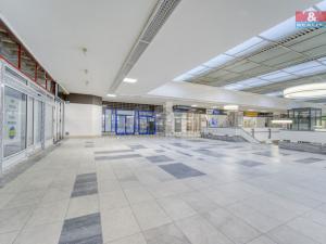 Pronájem obchodního prostoru, Plzeň - Doudlevce, Skupova, 100 m2