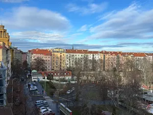 Pronájem bytu 3+kk, Praha - Žižkov, Fibichova, 90 m2