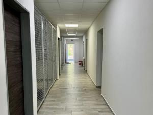 Pronájem bytu 1+kk, Moravské Bránice, 32 m2