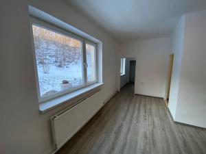 Pronájem bytu 1+1, Město Albrechtice, 37 m2