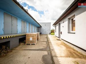 Prodej výrobních prostor, Veselí nad Lužnicí, Třída Čs. armády, 4001 m2