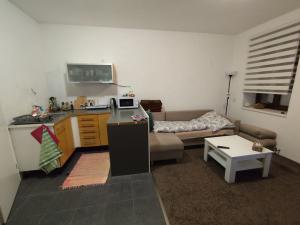 Pronájem bytu 1+kk, Šternberk, Jaroslavova, 21 m2