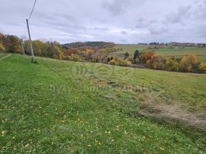 Prodej louky, Hynčina, 1787 m2