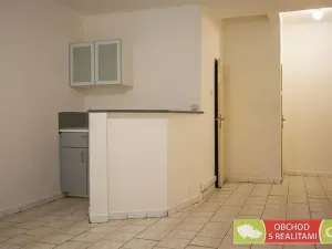 Pronájem bytu 1+kk, Praha - Nusle, Sdružení, 25 m2