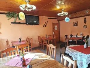 Prodej restaurace, Český Těšín, 400 m2