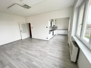 Pronájem bytu 2+1, Litvínov, Vinohradská, 56 m2