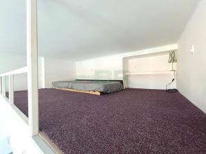 Pronájem bytu 1+kk, Praha - Žižkov, Přemyslovská, 20 m2