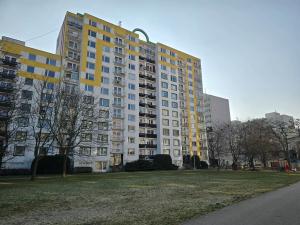 Prodej bytu 1+1, Pardubice, Lonkova, 45 m2