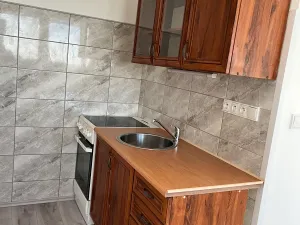 Pronájem bytu 1+kk, Chomutov, Kundratická, 22 m2