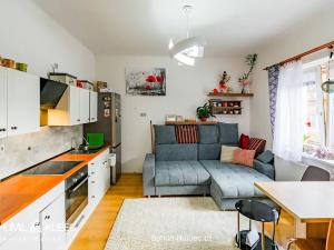 Pronájem bytu 1+kk, Tábor, Třebízského, 40 m2