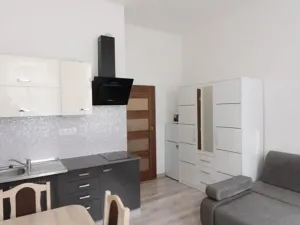 Pronájem bytu 1+kk, Praha - Nusle, Rostislavova, 22 m2