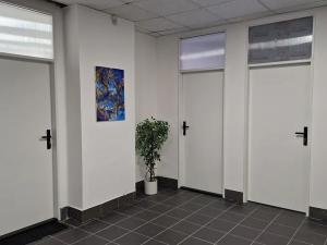 Pronájem kanceláře, Žatec, náměstí Svobody, 14 m2