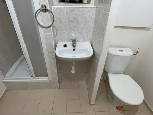 Pronájem bytu 1+kk, Brno, Kubíkova, 33 m2