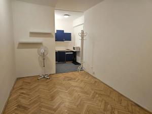 Pronájem bytu 1+kk, Praha - Nové Město, Sokolská, 22 m2