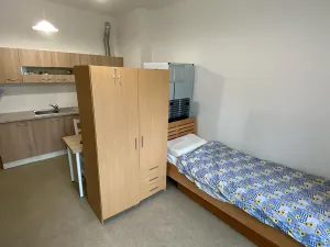 Pronájem bytu 1+kk, Praha - Vršovice, Karpatská, 27 m2