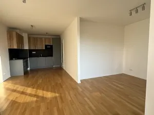 Pronájem bytu 2+kk, Praha - Žižkov, U Viktorie, 43 m2