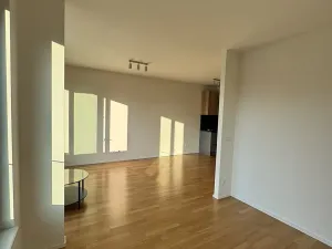 Pronájem bytu 2+kk, Praha - Žižkov, U Viktorie, 43 m2