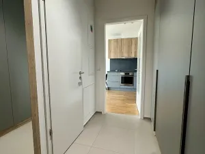 Pronájem bytu 2+kk, Praha - Žižkov, U Viktorie, 43 m2