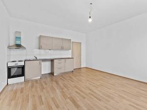 Pronájem bytu 1+kk, Terezín, Fučíkova, 32 m2