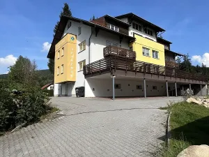 Pronájem bytu 1+kk, Harrachov, 40 m2