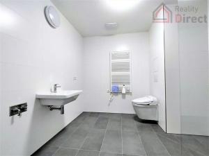 Pronájem bytu 1+kk, Mladá Boleslav, Vondřichova, 44 m2