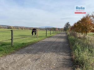 Prodej pozemku pro bydlení, Paceřice, 1000 m2