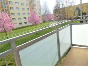 Pronájem bytu 3+1, Zlín, třída Svobody, 68 m2