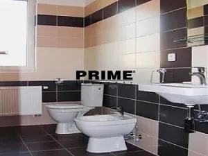 Pronájem rodinného domu, Průhonice, Pod Valem II., 400 m2