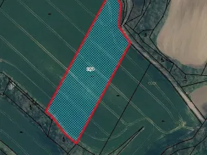 Prodej pole, Vysoká, 10751 m2