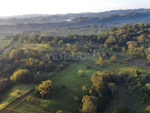 Prodej pozemku pro bydlení, Puerto Jiménez, Kostarika, Calle Los Pollos, 8924 m2