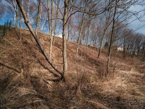 Prodej pozemku pro bydlení, Kamenice, Leknínová, 2030 m2