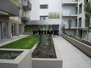 Pronájem bytu 2+kk, Praha - Žižkov, Prokopova, 62 m2