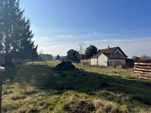 Pronájem zahrady, Nový Vestec, 6500 m2