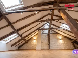 Prodej rodinného domu, Slaný, Soukenická, 200 m2
