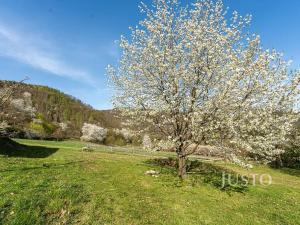 Prodej komerčního pozemku, Solenice, 8019 m2