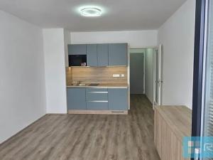 Pronájem bytu 1+kk, Brno, Spolková, 33 m2