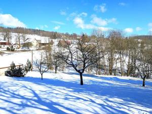 Prodej pozemku, Jestřabí v Krkonoších, 809 m2