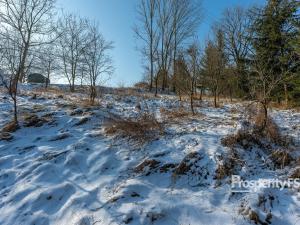 Prodej pozemku, Moravská Třebová - Boršov, 4902 m2