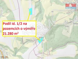 Prodej louky, Hronov - Zbečník, 21280 m2