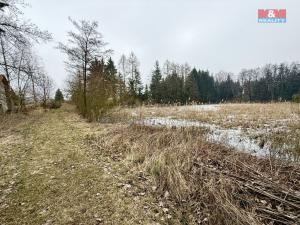 Prodej rybníku, Rychnov nad Kněžnou - Lipovka, 5965 m2